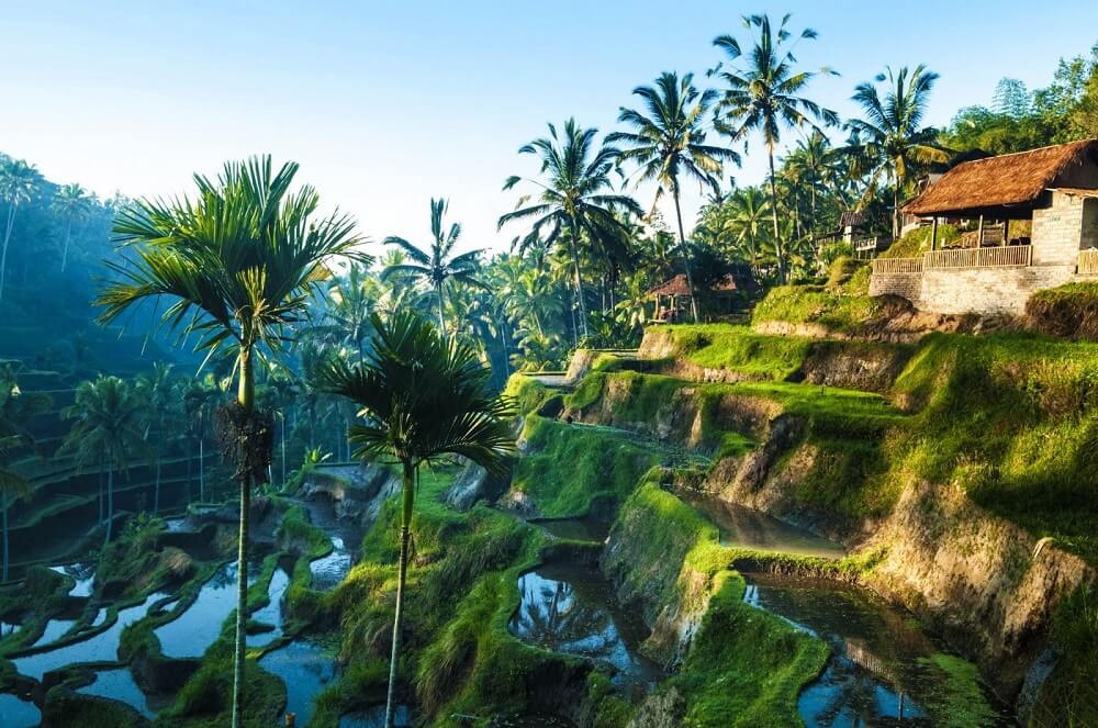 Những Nơi Đẹp Nhất Bali Sẽ Làm Bạn Lạc Bước Quên Luôn Lối Về