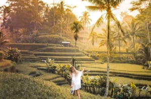 Chơi Gì Ở Ubud Bali Trong Hành Trình Đi Tìm Bình Yên Nơi Hòn Đảo Ngọc