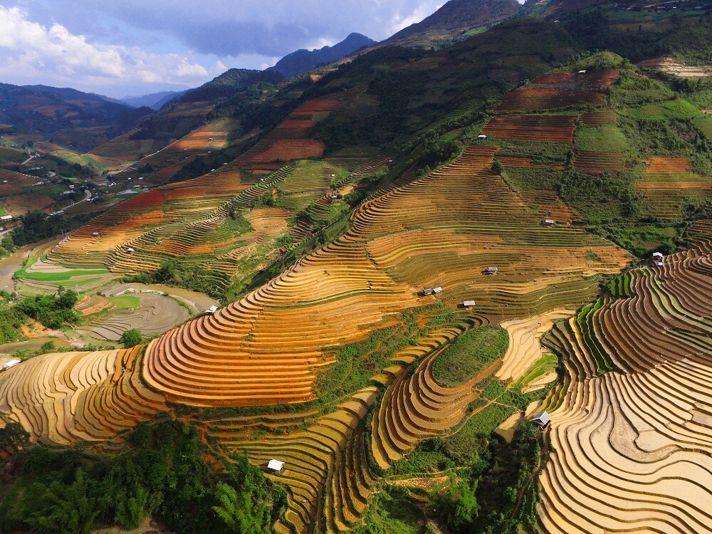 Lưu ngay bí kíp khám phá lễ hội ruộng bậc thang Mù Cang Chải