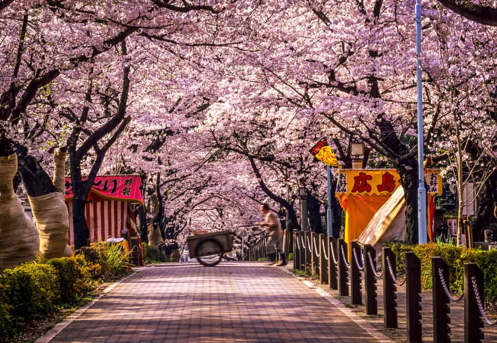 Từ A-Z thủ tục xin visa du lịch Nhật Bản tự túc 2020