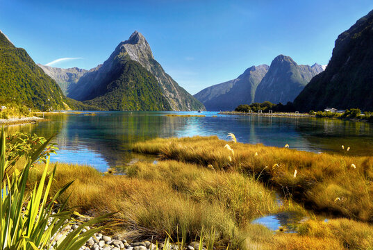 Du Lịch New Zealand Khám Phá Đất Nước Xinh Đẹp Trong Tầm Tay