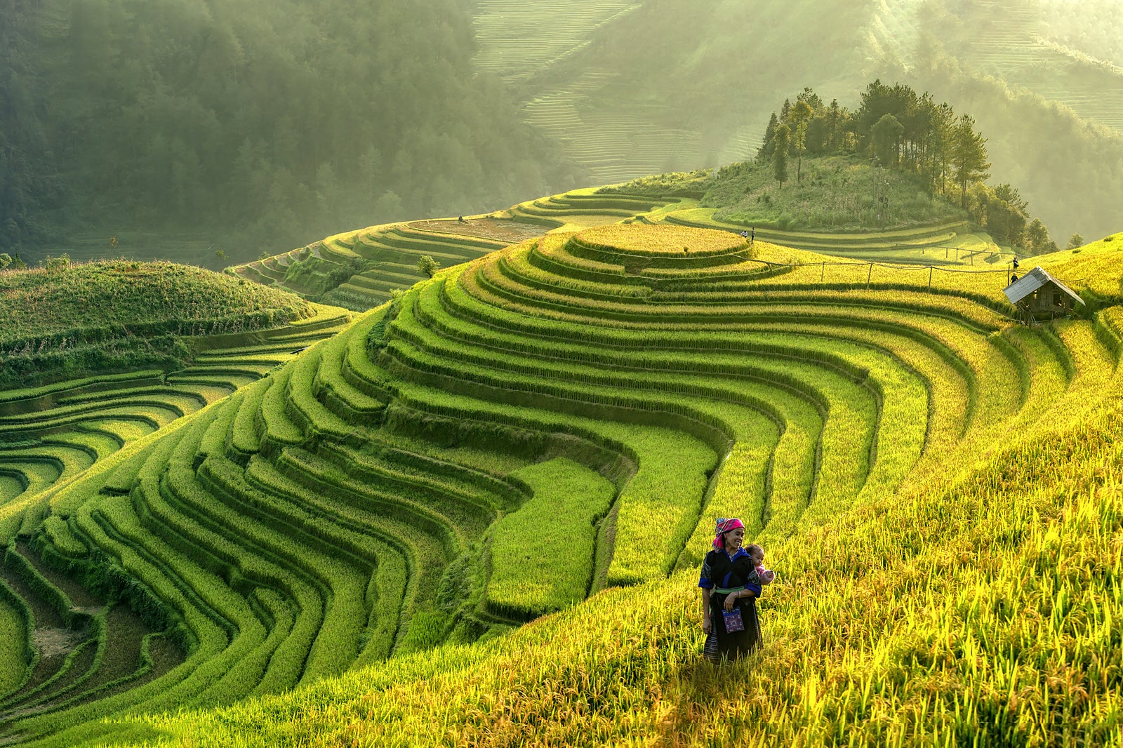 4 Reasons why you should head to Vietnam for a permanent job